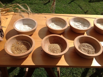 Medieval grains